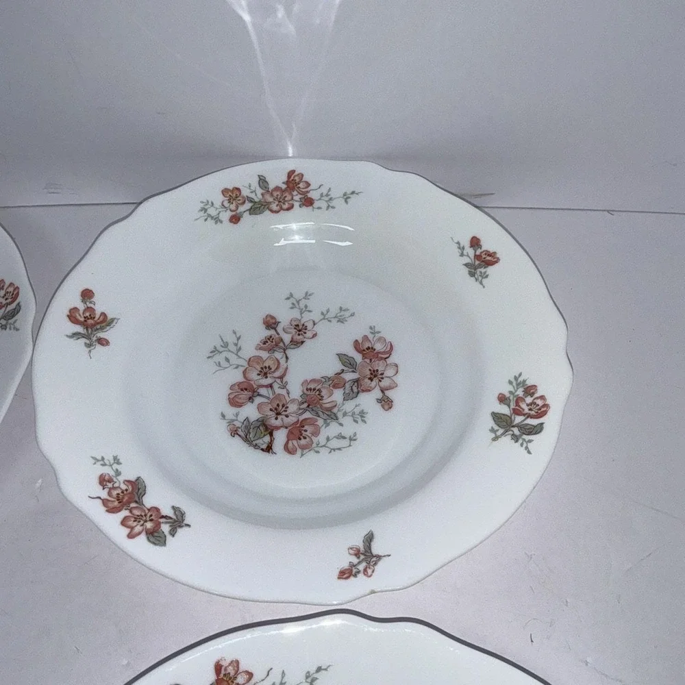 Vintage Set of 4 Arcopal France Pink Cherry Blossom 9